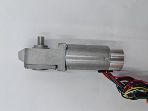 36mm 24V Worm Gearbox Motor 3000rpm 0.05Nm 16W