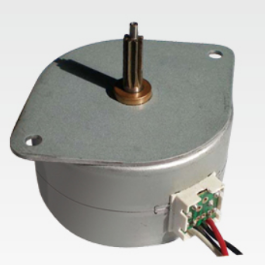 60mm 240V Synchronous PM stepper motor 0.017Nm 250/300rpm