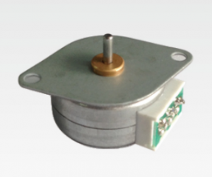 25mm 12 VDC PM Stepper Motor 15°