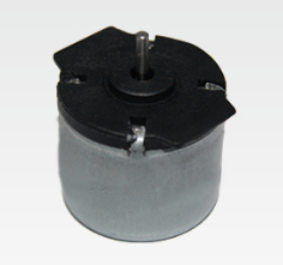 20mm 12 VDC PM Stepper Motor 18°