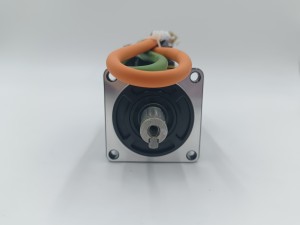 80mm 220VAC Servo Motor 750W