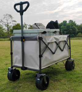 Electric Wagon