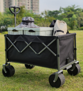 Electric Wagon