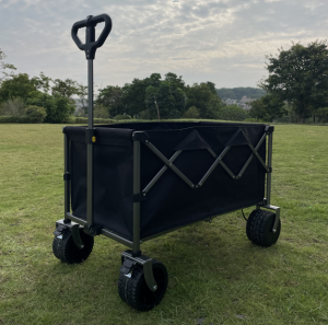 Electric Wagon