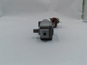 36mm 24V Worm Gearbox Motor 3000rpm 0.05Nm 16W