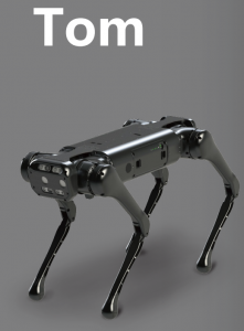 Robot Dog Tom