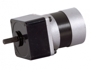 60mm 36V BLDC Spur Gearbox Motor