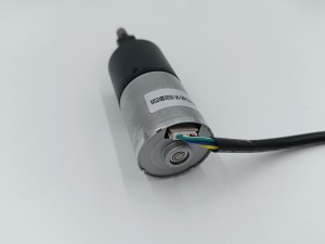 36mm 24V BLDC Linear motor Thrust>600N