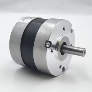 57mm 48VDC BLDC Motor 12000rpm 0.05Nm 63W